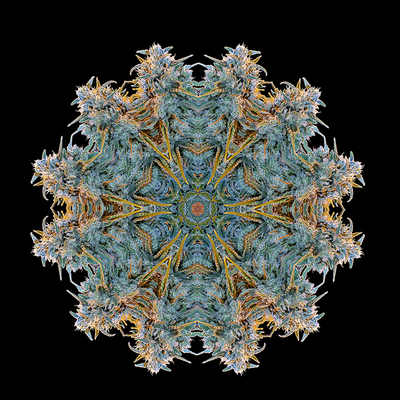 mandala-blue-dream-1-1.jpg