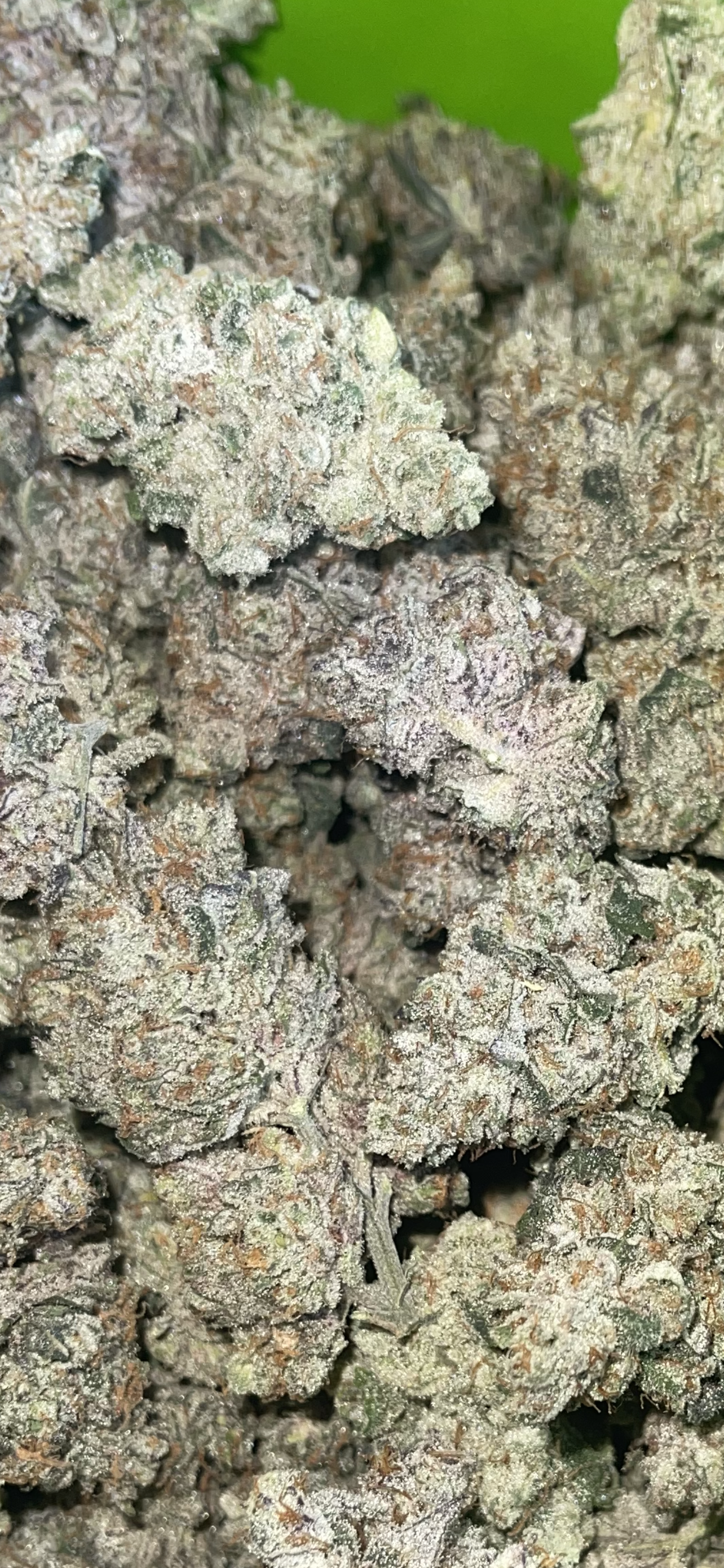 Apple Punch