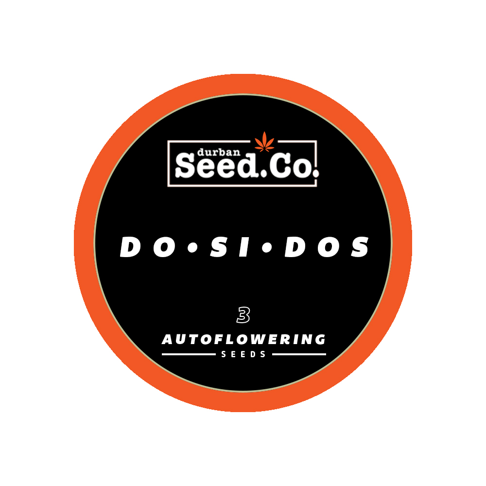 AUTO-ROUND-STICKER-DOSIDOS-3.jpg