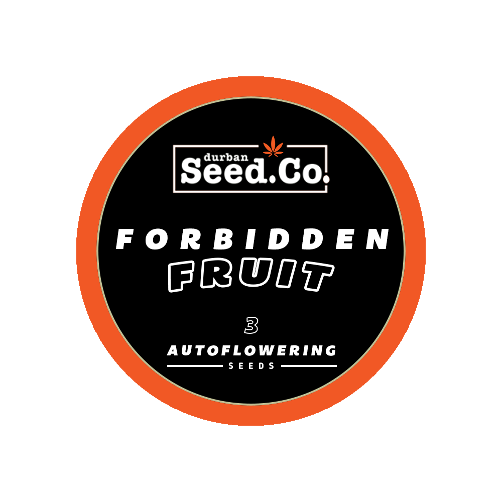 AUTO-ROUND-STICKER-FORBIDDEN-FRUIT-3.png