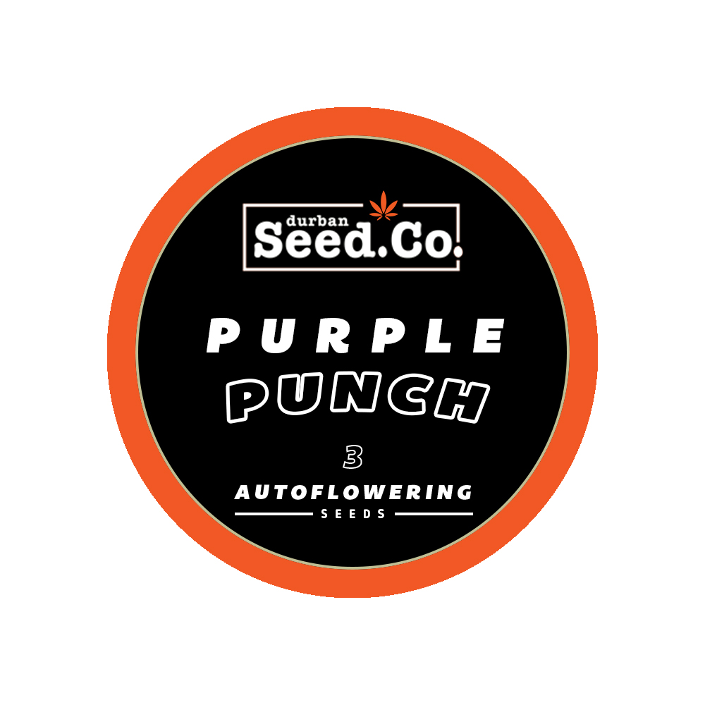 AUTO-ROUND-STICKER-PURPLE-PUNCH-3.jpg