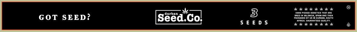 CBD-3.jpg