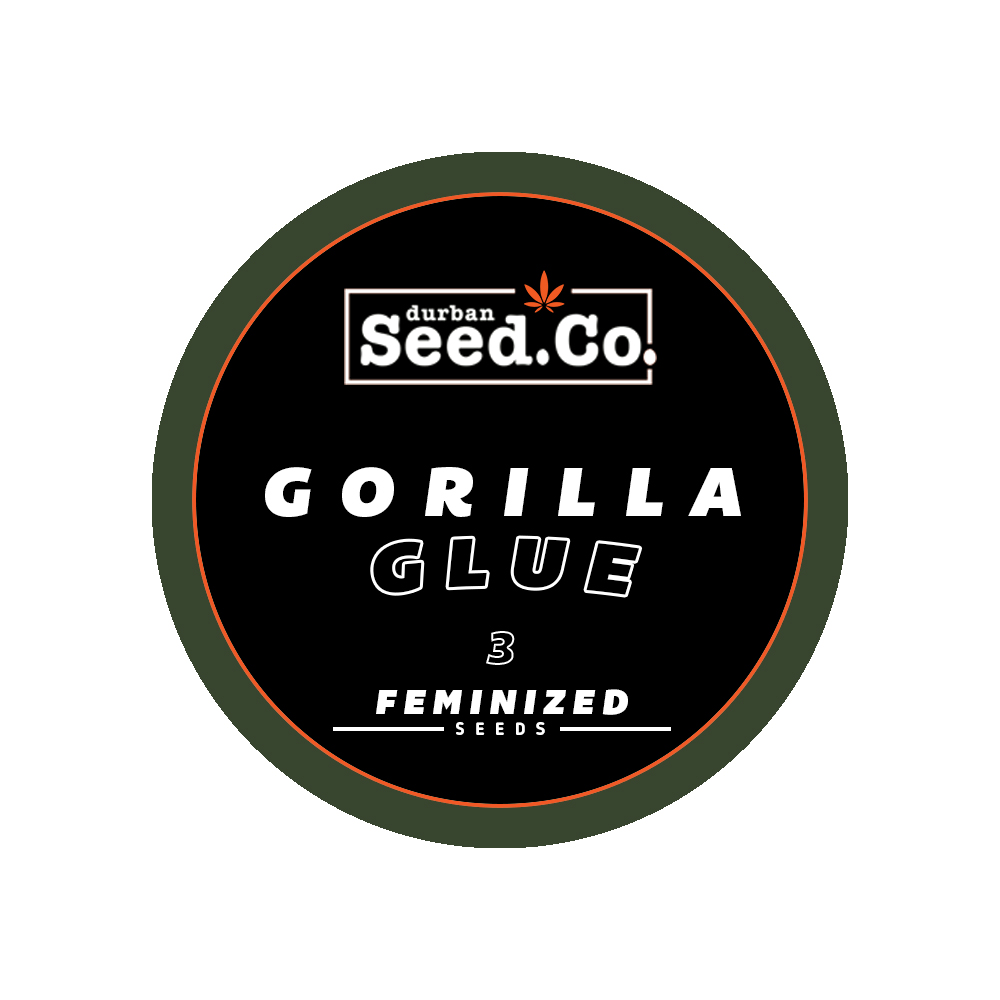 FEM-ROUND-STICKER-GORILLA-GLUE-3.jpg