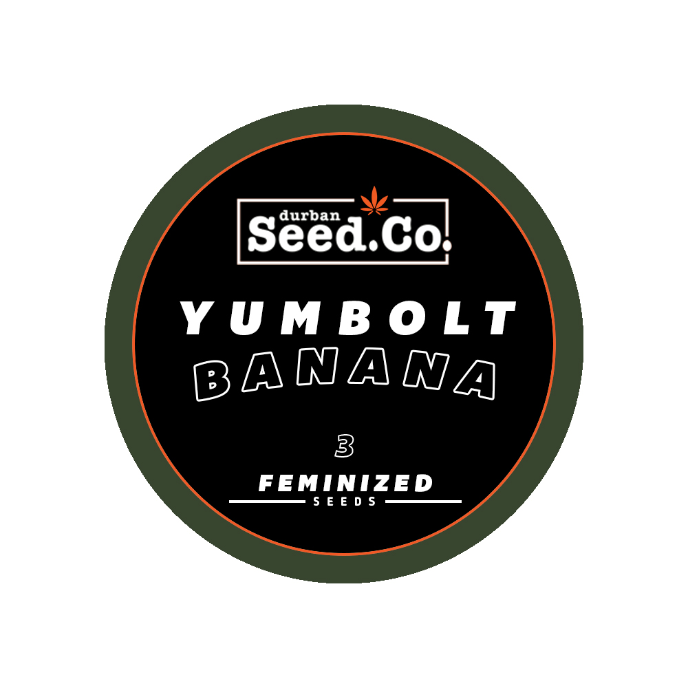 FEM-ROUND-STICKER-YUM-BANANA.jpg