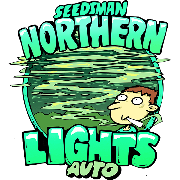northernlights.png