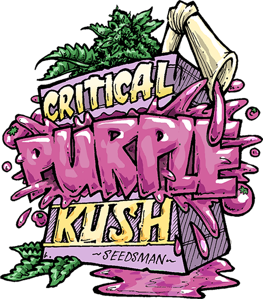 sman-420-critical-purple-kush-small.png